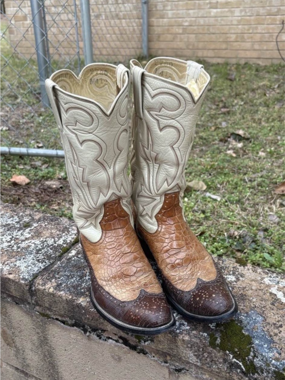 Rios of Mercedes sea turtle and lizard boots size 7